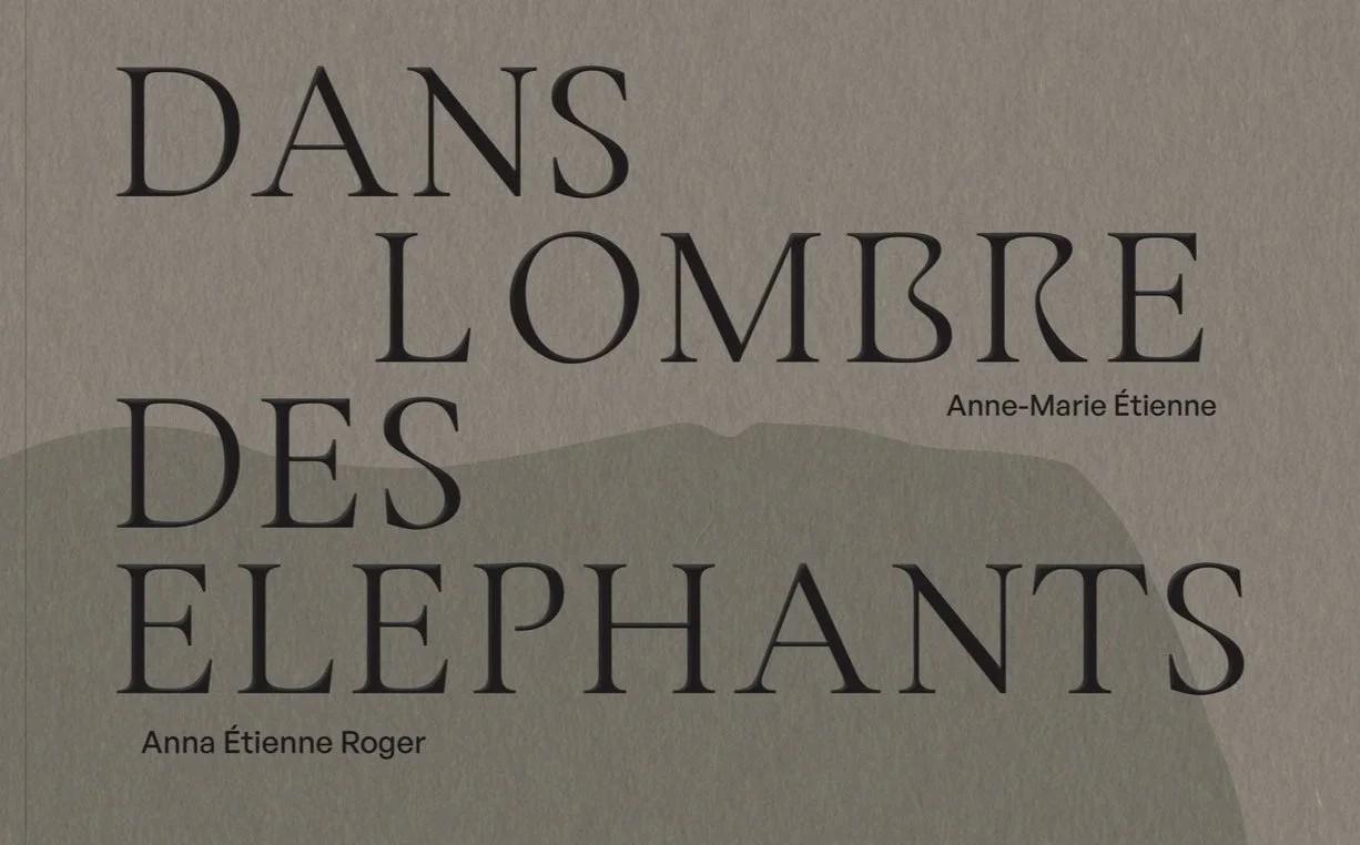 You are currently viewing Découvrez le nouveau livre d’Anne-Marie Etienne